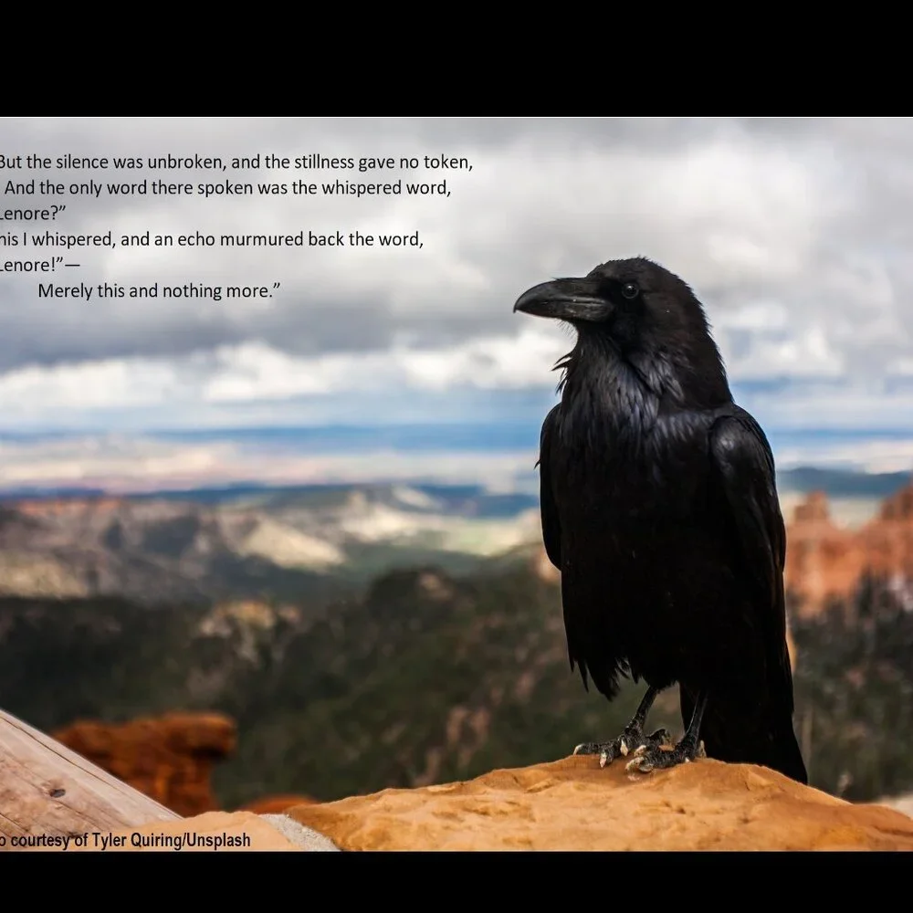 Raven Calendar 2027 Ravens Planner with The Raven by Edgar Allan Poe Poetry